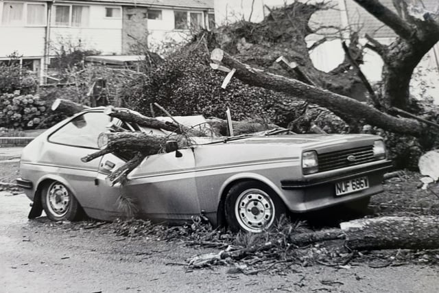The crash came with nice storms which destroyed a lot of trees