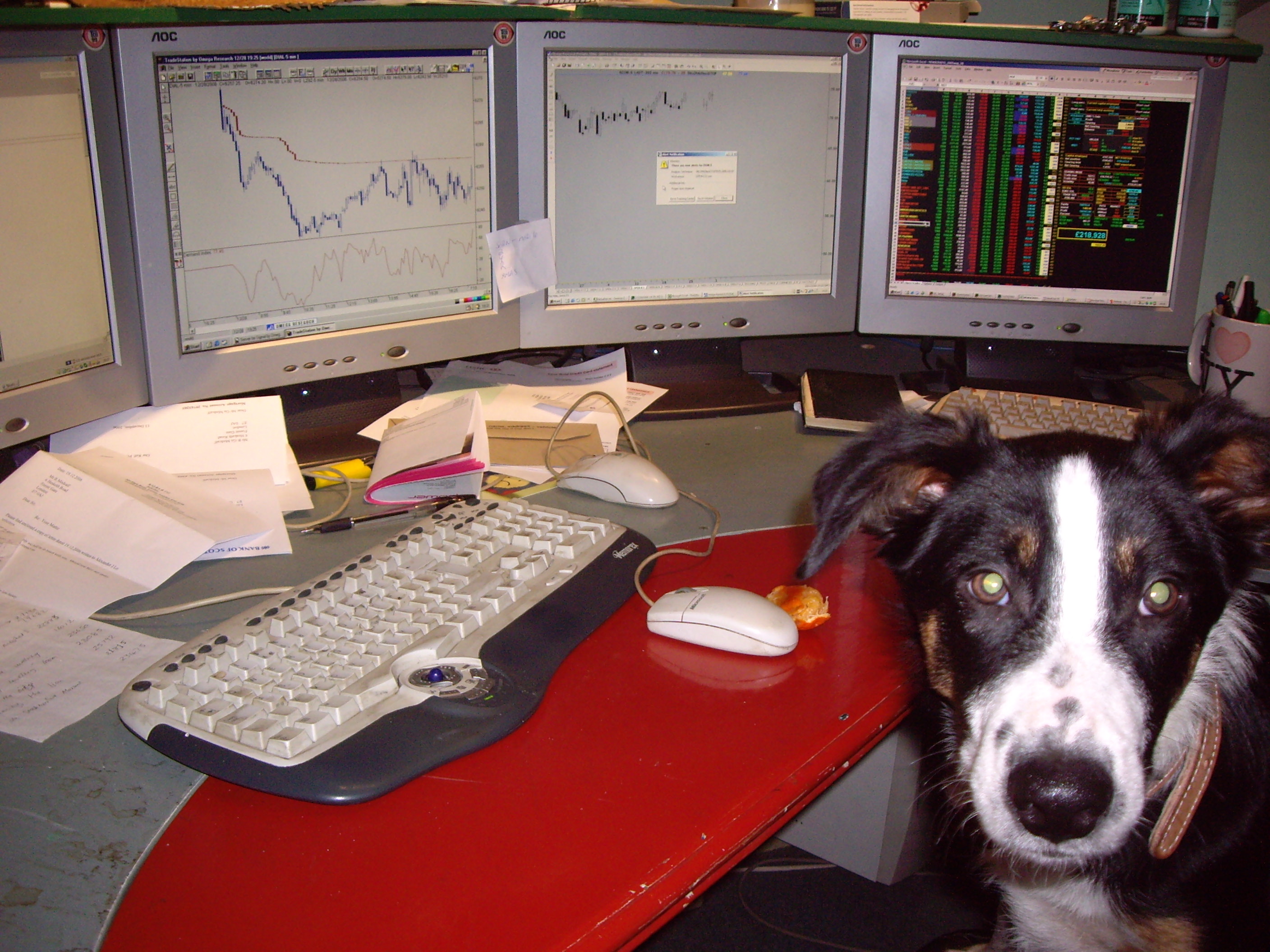 Trading_dog